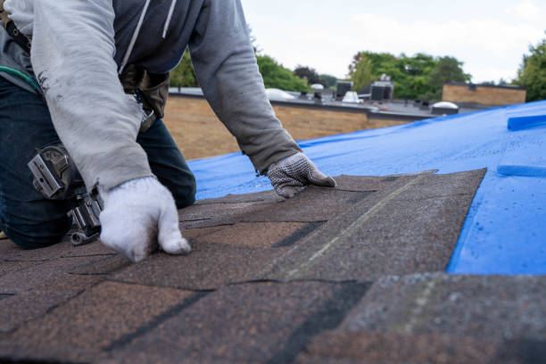 Best Residential Roofing Contractor  in North Vernon, IN
